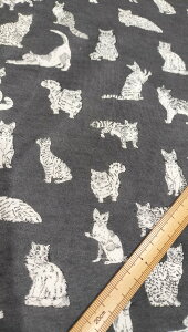 yoeB60/2V/LIBERTYzs2025NVG^[itYVFgW[W (^iW[W) 60/2V Meow (~IE) DC32576-YK (ubN)