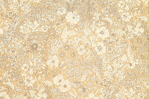 yoeBvg/LIBERTYzPatrick Gordon 3801160-YEyoeBvg/LIBERTY/^i[/n110cm/100/oeB/ԕ/n/zn/n/[։\zyɂۂ pLz