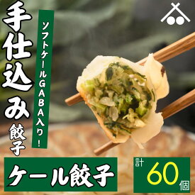 【送料無料】ソフト ケール GABA 使用! ケール 餃子 60個 (20個入×3箱)| 浜松餃子 ぎょうざ 惣菜 セット 点心 中華 おかず おつまみ ギョウザ ギョーザ 冷凍 冷凍餃子 冷凍生餃子 国産 お取り寄せ 焼餃子 焼き餃子 水餃子 揚げ餃子