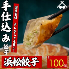 【送料無料】タレなしでもうまい! 浜松 餃子100個 セット(20個入×5箱)| 浜松餃子 ぎょうざ 惣菜 セット 詰め合わせ 点心 中華 おかず おつまみ ギョウザ ギョーザ 冷凍 冷凍餃子 冷凍生餃子 国産 お取り寄せ 焼餃子 焼き餃子 水餃子 揚げ餃子