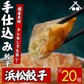 【送料無料】タレなしでもうまい! 浜松 餃子20個 (20個入×1箱)| 浜松餃子 ぎょうざ 惣菜 セット 詰め合わせ 点心 中華 おかず おつまみ ギョウザ ギョーザ 冷凍 冷凍餃子 冷凍生餃子 国産 お取り寄せ 焼餃子 焼き餃子 水餃子 揚げ餃子