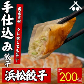 【送料無料】タレなしでもうまい! 浜松 餃子200個 セット(20個入×10箱)| 浜松餃子 ぎょうざ 惣菜 セット 詰め合わせ 点心 中華 おかず おつまみ ギョウザ ギョーザ 冷凍 冷凍餃子 冷凍生餃子 国産 お取り寄せ 焼餃子 焼き餃子 水餃子 揚げ餃子