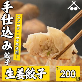 【送料無料】にんにく ・ ニラ 不使用! 生姜 餃子200個 セット(20個入×10箱)| 浜松餃子 ぎょうざ 惣菜 セット 点心 中華 おかず おつまみ ギョウザ ギョーザ 冷凍 冷凍餃子 冷凍生餃子 国産 お取り寄せ 焼餃子 焼き餃子 水餃子 揚げ餃子