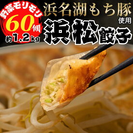 【本場・浜松直送】浜松餃子60個｜国産豚×国産野菜｜本店の味を冷凍直送｜焼き餃子・水餃子・揚げ餃子対応｜送料無料｜お取り寄せ人気　ご当地グルメ｜スーパーセール