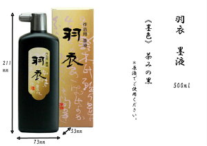  nt n` n H 500ml n^ pi ip t̖n Ѝ