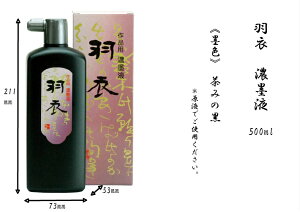  nt n` n H Zn 500ml n^ pi ip t̖n Ѝ