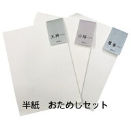 書道用紙 送料無料 半紙 おためしセット 天神 白樺 墨童 書道 習字 初心者 子ども向き 小学生