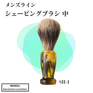 ϕM  VF[rOuV VF[rO A EH[^[oW[ oW[  Y YC M SH-1 |