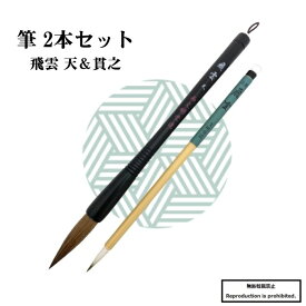 書道 筆 送料無料 大筆 太筆 小筆 書道筆 天茶 貫之 2本組 2本セット 初心者向き 初心者 書道 習字 毛筆 馬毛 楷書 筆 小学生 中学生 書道用品