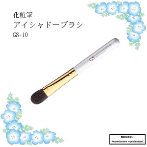 ϕM CNuV  GS-10 F F쉻ϕM ACVh[uV ACVh[ ACVhE ڌ ە DX | GSV[Y