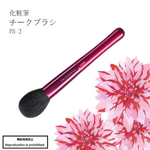 ϕM CNuV  F F쉻ϕM PS-2 `[NuV `[N   ە | PassionV[Y