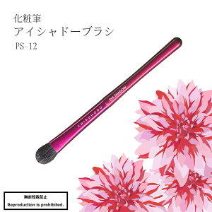 ϕM CNuV  F F쉻ϕM PS-12 ACVh[uV ACVh[ ACVhE  ڌ ە e | PassionV[Y