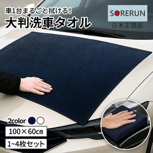 ԗp^I 100x60cm   @グ ^I  ubN N[