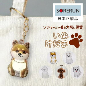 ʂ ыʓ ю[{bNX 5 ыʗe  ыʓ ̖уL[z_[  ybgPApi ybgSf тۊǂ{g