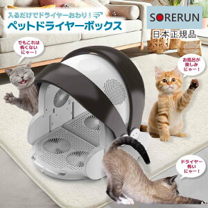 ybg hC[ {bNX L   hCnEX Lbg hbO