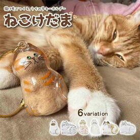 ねこけだま 猫毛玉入れ 猫毛収納ボックス 6種類 毛玉容器 猫 毛玉入れ 猫の毛キーホルダー 透明 ペットケア用品 ペット安全素材 毛を保管するボトル