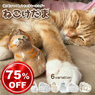 ねこけだま 猫毛玉入れ 猫毛収納ボトル 猫毛保存ケース 猫雑貨 猫グッズ 毛保存キーホルダー 透明カプセ…