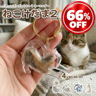 ねこけだま 第2弾 猫毛玉入れ 猫毛保存ケース 猫好き ペット毛収納ボトル メモリアルグッズ 猫の毛キーホ…