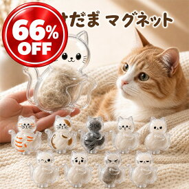 ねこけだま マグネット 猫毛玉入れ 猫毛収納ボトル 猫毛保存ケース 猫雑貨 猫グッズ 毛保存キーホルダー 透明カプセル ペットメモリアル 思い出保存グッズ 毛保存容器 ペット記念品 猫好き雑貨 猫好きギフト 猫インテリア雑貨