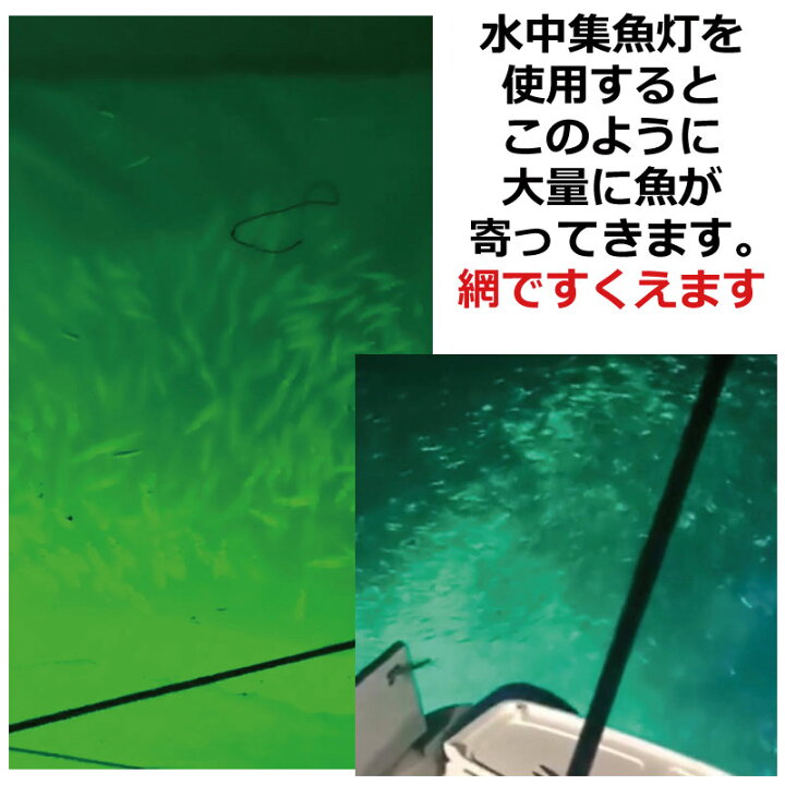 楽天市場】集魚灯 集魚ライト 水中集魚灯 1000W AC100V 30mケーブル LEDフィッシュライト イカ釣りシラス ウナギ 夜釣り 夜焚き 送料無料 : 消耗品と互換品のH・ディンガー 楽天市場】集魚灯 集魚ライト 水中集魚灯 1000W AC100V 30mケーブル LEDフィッシュライト イカ釣りシラス ウナギ 夜釣り 夜焚き 送料無料 : 消耗品と互換品のH・ディンガー