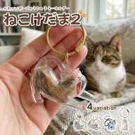 ねこけだま 第2弾 猫毛玉入れ 猫毛保存ケース 猫好き ペット毛収納ボトル メモリアルグッズ 猫の毛キーホ…