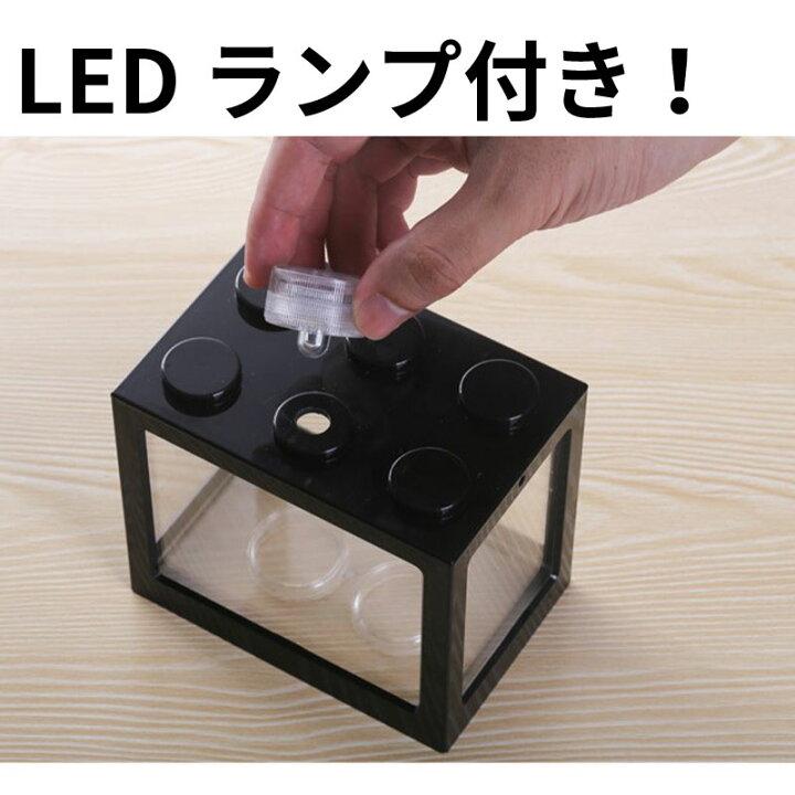 楽天市場 ブロック水槽 セグレゴブロック Seglego Mサイズ Ledライト 金魚鉢 アクアリウム 日本正規品 Heimerdinger Heimerdinger Japan