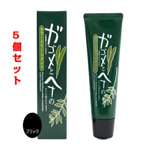 KSƃwĩJ[g[gg ubN 5Zbg/c/g[gg//ѐ/߂Ȃ/VR/tRC_/wi/RV