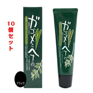 y[zKSƃwĩJ[g[gg ubN 10Zbg/c/g[gg//ѐ/߂Ȃ/VR/tRC_/wi/RV