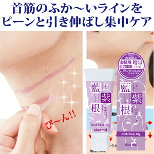 VFA@Ǝ̎񌳃pbN 40g ʃ^Cv@@񌳁@@V@NTC@L΂@n@ێ@߁@e GCWOPA@񂵂@񂵂@񂵂PA@񂵂p