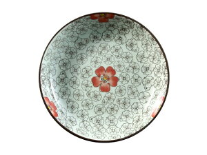 ێM  a (20cm)yaH M ԕ 킢  WOK HΉ  󂠂 AEgbg Joz