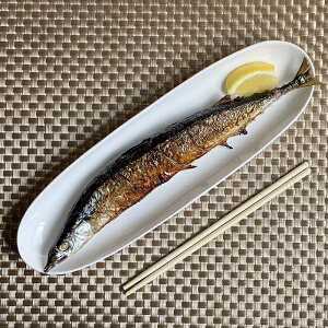 M I[huM (30.3cm ȉ~M)yv[g ܎M iM   zCg  WOK 傫 y  AEgbg 󂠂 Ɩp ig Hz H ĕ