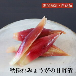 Ĥ݂傤̊Ð|ЁbЕ lߍ킹 т̂ Mtg v[g  䒆 ɂ @  yY ٓ lC L Z  ȒP ґ Е