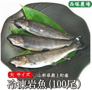 ʌ@R`Y Ⓚ⋛ 100CiTCY ) @ ĂEgɍœKȑ傫