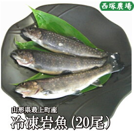 山形県産 冷凍岩魚 20匹（腹抜き) 　 焼き魚・揚げ物に最適な大きさ