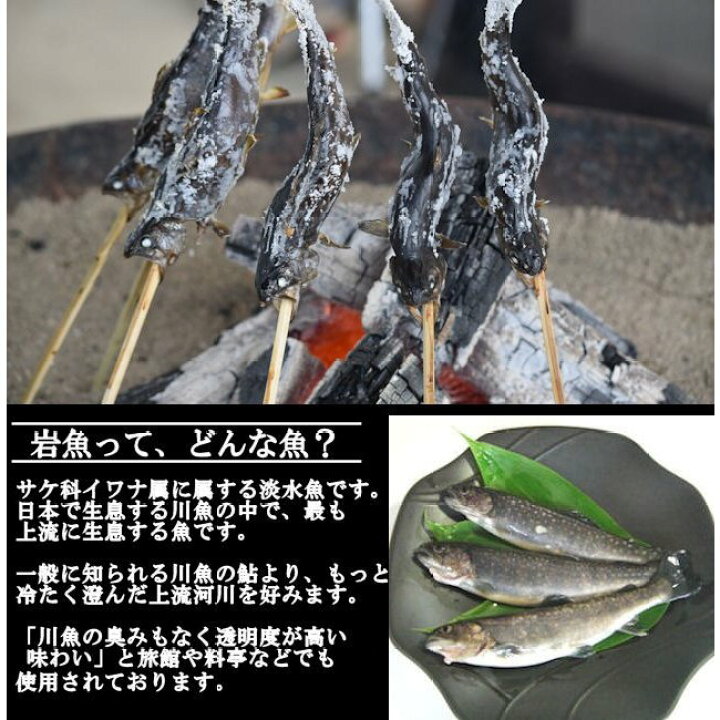 楽天市場 ポイント5倍 山形県産 冷凍岩魚 50匹 焼き魚 揚げ物に最適な大きさ 株式会社西塚農場 楽天市場 ポイント5倍 山形県産 冷凍岩魚 50匹 焼き魚 揚げ物に最適な大きさ 株式会社西塚農場