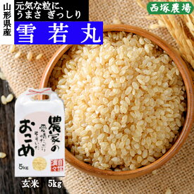 山形県産 雪若丸 令和7年産 玄米 5kg