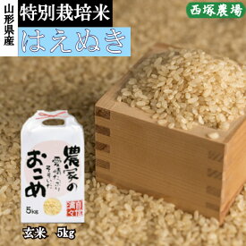 山形県産 特別栽培米 はえぬき 令和7年産 玄米 5kg