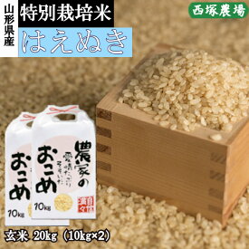 山形県産 特別栽培米 はえぬき 令和7年産 玄米 20kg
