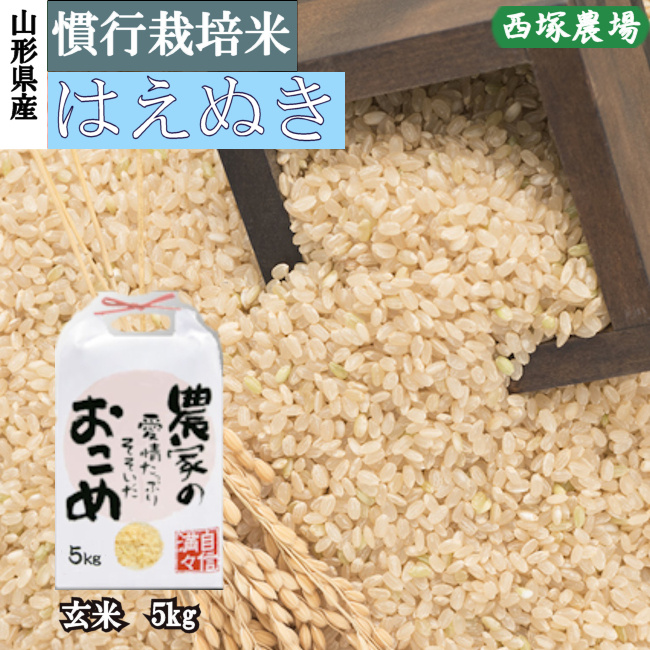 山形県産 慣行栽培米 はえぬき 令和4年産 玄米 5kg 一等米