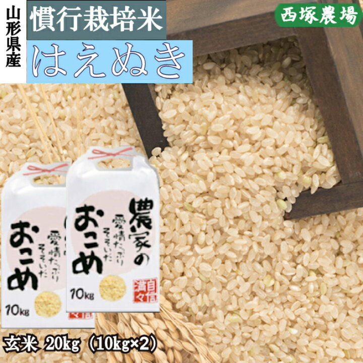 楽天市場】山形県産 慣行栽培米 はえぬき 令和7年産 玄米 20kg : 株式 