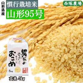 山形県産 慣行栽培米 山形95号 令和7年産 玄米 5kg