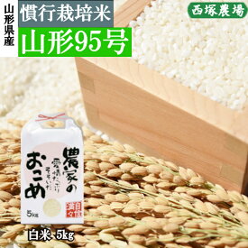 山形県産 慣行栽培米 山形95号 令和7年産 白米 5kg
