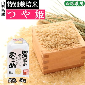 山形県産 特別栽培米 つや姫 令和5年産 玄米 5kg