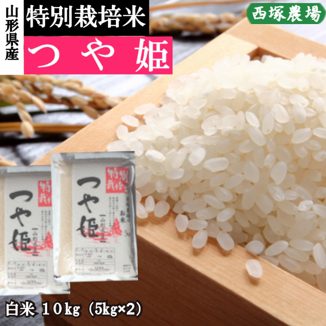 山形県産 特別栽培米 つや姫 令和4年産 白米 10kg 精米したて