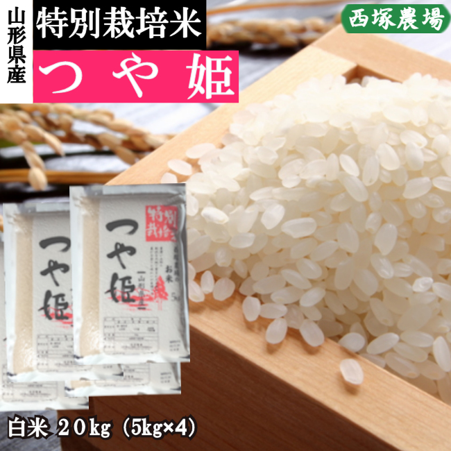 山形県産 特別栽培米 つや姫 令和5年産 白米 20kg 一等米 - その他水産物