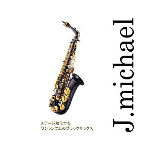 yz J}CP AgTbNX@ubN@AL-900B