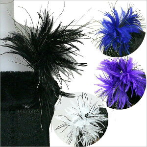 y XցzRT[W ͂ tFU[  wbhhX    w tH[} p[eB[hX