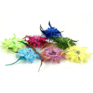 yzRT[WE7F/Hѕt  Ǝ w  Ă΂̃p[eB[hX