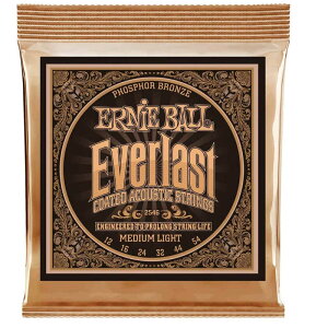 ERNIE BALL R[eBO R[ebh tHXt@[Y ARM MEDIUM LIGHT Q[W 12-54@ X