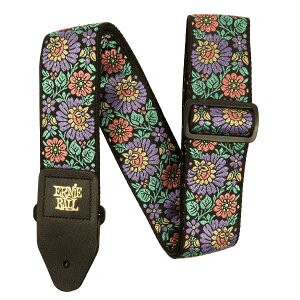 ERNIE BALL M^[Xgbv CujO u[ WK[hV[Y P05340